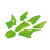 Пълен комплект пластмаси YCF 50 - Green Пълен комплект пластмаси YCF 50 - Green thumb