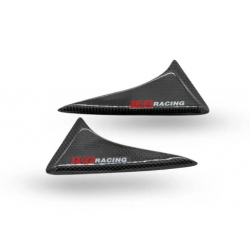 Протектори за опашка R&G RACING Rear Shell Sliders Carbon BMW M1000R/RR 23-24