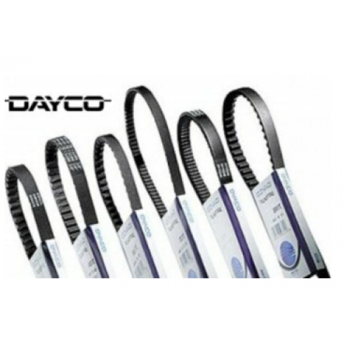 Стандартен трансмисионен ремък DAYCO PEUGEOT SQUAB 50 2T Стандартен трансмисионен ремък DAYCO PEUGEOT SQUAB 50 2T