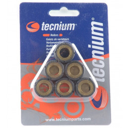 Вариаторни ролки TECNIUM 16x13 мм 5,5 гр - Комплект от 6