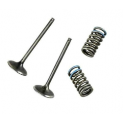 КОМПЕЛЕКТ ИЗПУСКАТЕНИ КЛАПАНИ (стомана) + ПРУЖИНИ WÖSSNER HONDA CRF 450 X 05-14
