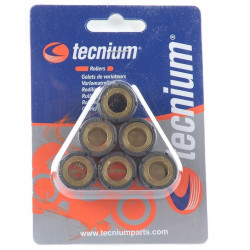 TECNIUM Вариаторни ролки 25x14,9mm 15гр - Комплект от 8