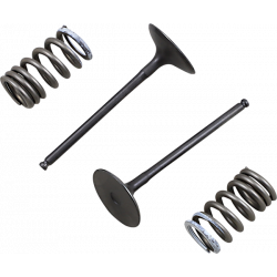 Комплект всмукателен клапан (стомана)/пружина ProX за SUZUKI RM-Z250