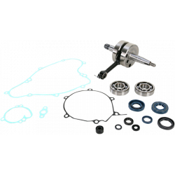 Комплект колянов вал WISECO CRANK W/BRG + GASKET