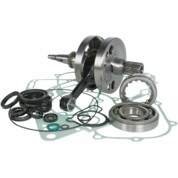 Комплект колянов вал WISECO CRANK W/BRG GASKET