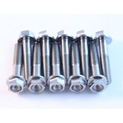 Титаниеви болтове SCAR M8X35мм - 2 броя