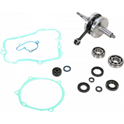 Комплект колянов вал WISECO CRANK W/BRG GASKET