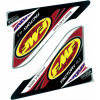 Стикер FMF FCTRY 4.1 USA DECAL REPL