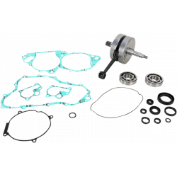 Комплект колянов вал WISECO CRANK W/BRG + GASKET