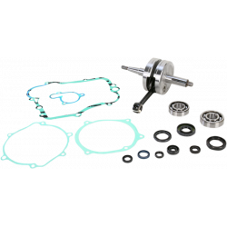 Комплект колянов вал WISECO CRANK W/BRG + GASKET