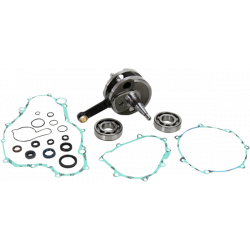 Комплект колянов вал WISECO CRANK W/BRG GASKET