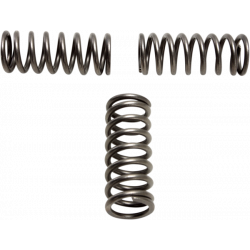Комплект пружини за съединител EBC CSK202 Комплект пружини за съединител EBC CSK202