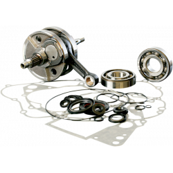 Комплект колянов вал WISECO CRANK W/BRG & GASKET
