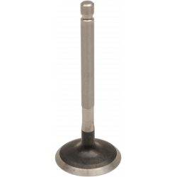 Клапани WISECO VALVE STEEL INT TT-R 125