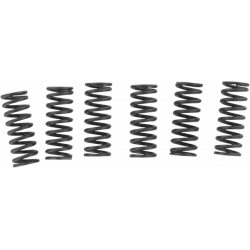 Комплект пружини за сединител EBC Clutch Spring Set 003