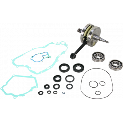 Комплект колянов вал WISECO CRANK W/BRG GASKET