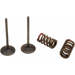 Комплект всмукателен клапан (стомана)/пружина ProX за KAWASAKI KX250F/ SUZUKI RMZ250