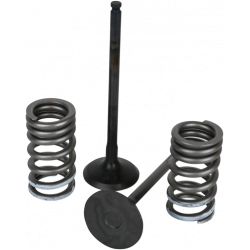 Клапани WISECO VALVE KT GB CRF250R 10-15