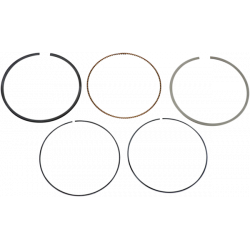 Сегменти WISECO PISTON RING VM 3.885/.010 Сегменти WISECO PISTON RING VM 3.885/.010