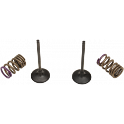 КОМПЛЕКТ СТОМАНЕНИ ИЗПУСКАТЕЛНИ КЛАПАНИ И ПРУЖИНИ KX250F 09-10