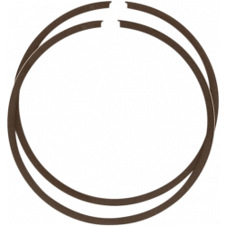 Сегменти WISECO RING SET TRAIL BLAZER 250 2X4 01-06