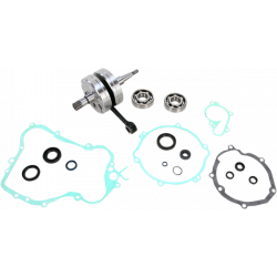 Комплект колянов вал WISECO CRANK W/BRG + GASKET