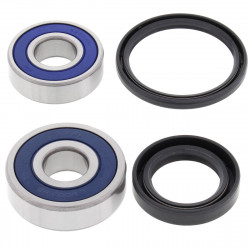 Комплект лагери за колело BRNG KT WHEEL FR HO ALL BALLS 25-1602-A