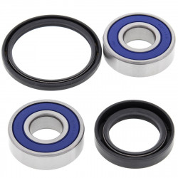 Комплект лагери за колело BRNG KT WHEEL FR HO ALL BALLS 25-1604-A