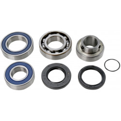 Комплект лагери и уплътнения за верижен кожух YAMAHA ALL BALLS 14-1059