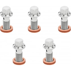 Болт banjo 5-pk 12 point 3/8-24 polished f/r MC 00-07 tour ARLEN NESS 300-854