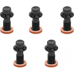 Болт banjo 5-pk 12 point 3/8-24 black f/r mc 00-07 touring ARLEN NESS 300-855 Болт banjo 5-pk 12 point 3/8-24 black f/r mc 00-07 touring ARLEN NESS 300-855