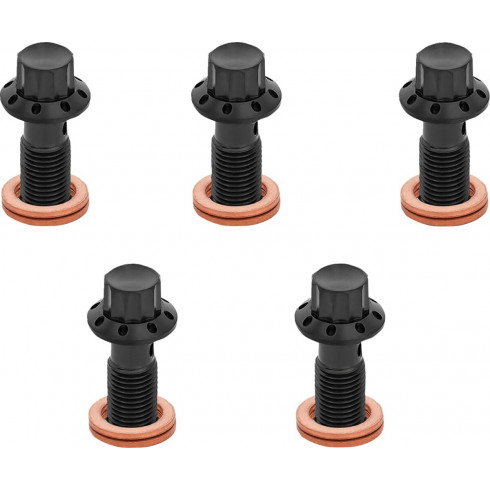 Болт banjo 5-pk 12 point 3/8-24 black f/r mc 00-07 touring ARLEN NESS 300-855 Болт banjo 5-pk 12 point 3/8-24 black f/r mc 00-07 touring ARLEN NESS 300-855
