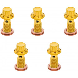 Банжо болт 5-PK 12 point 3/8-24 gold F/R MC 00-07 touring ARLEN NESS 300-856