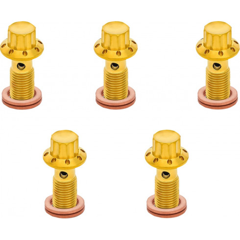Банжо болт 5-PK 12 point 3/8-24 gold F/R MC 00-07 touring ARLEN NESS 300-856 Банжо болт 5-PK 12 point 3/8-24 gold F/R MC 00-07 touring ARLEN NESS 300-856