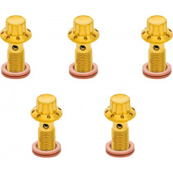 Болт banjo 5-pk M10x1.25 gold 12-pt single F/R MC Softail ARLEN NESS 300-862