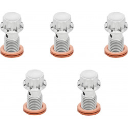 Болт banjo 5-pk M12x1.25 polished 12-pt dual f/r MC softail ARLEN NESS 300-863