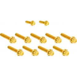 Комплект крепежни елементи TITANUIM 12PT CAM & POINT GOLD ARLEN NESS 300-934