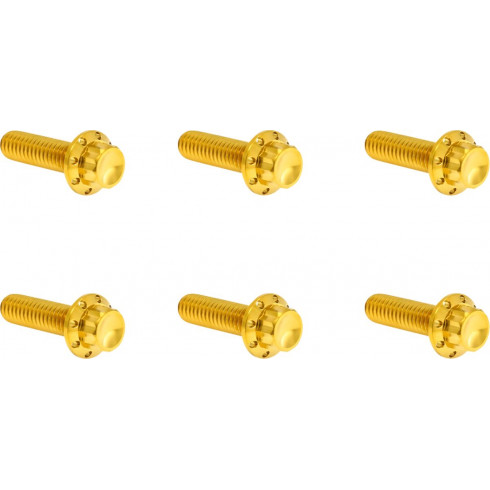 Комплект болтове - горен капак на трансмисията - 12-точков - златен ARLEN NESS 300-949 Комплект болтове - горен капак на трансмисията - 12-точков - златен ARLEN NESS 300-949