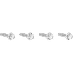 Комплект крепежни елементи TITANIUM 12PT TRANS TOP CVR POLISH ARLEN NESS 300-977