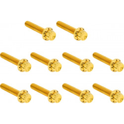 Комплект крепежни елементи TITANIUM 12PT CAM & POINT CVR GOLD ARLEN NESS 300-988