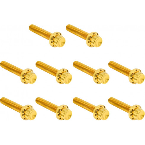 Комплект крепежни елементи TITANIUM 12PT CAM & POINT CVR GOLD ARLEN NESS 300-988 Комплект крепежни елементи TITANIUM 12PT CAM & POINT CVR GOLD ARLEN NESS 300-988