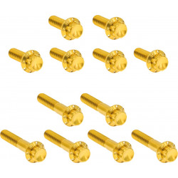 Комплект крепежни елементи titanuim 12pt rocker box gold ARLEN NESS 300-994 Комплект крепежни елементи titanuim 12pt rocker box gold ARLEN NESS 300-994