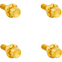 Комплект болтове titanium 12pt за предно стъкло gold ARLEN NESS 300-811