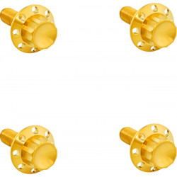 Комплект болтове titanium 12pt за преден калник gold ARLEN NESS 300-817