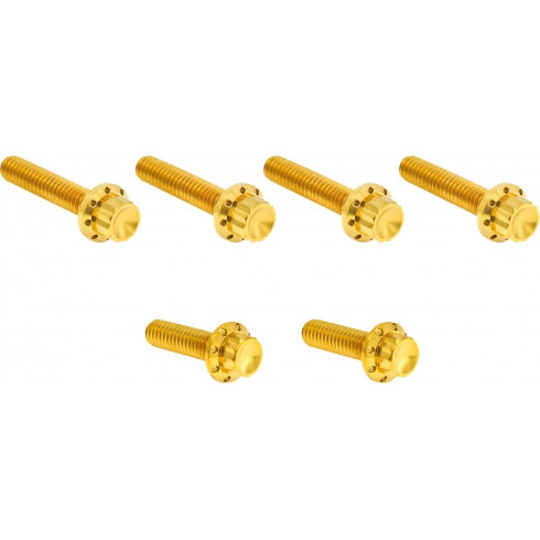 Комплект крепежни елементи от титан 12-PNT M8/TC CBL CLUTCH злато ARLEN NESS 300-705 Комплект крепежни елементи от титан 12-PNT M8/TC CBL CLUTCH злато ARLEN NESS 300-705