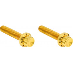 Комплект крепежни елементи TITANIUM 12-PNT M8/TC HYD CLUTCH GOLD ARLEN NESS 300-708
