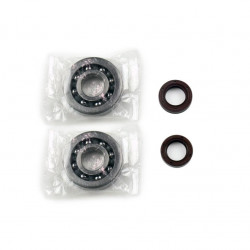 Комплект за рециклиране на колянов вал SKF ATHENA P400480444001 Комплект за рециклиране на колянов вал SKF ATHENA P400480444001