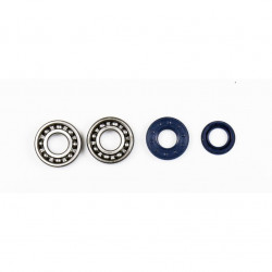 Комплект за рециклиране на колянов вал SKF ATHENA P400130444005 Комплект за рециклиране на колянов вал SKF ATHENA P400130444005