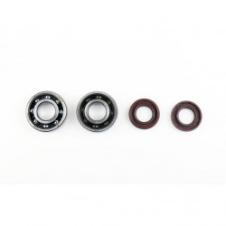 Комплект за рециклиране на колянов вал SKF ATHENA P400105444050 Комплект за рециклиране на колянов вал SKF ATHENA P400105444050