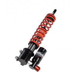 Предно окачване VESPA GTS 125 BITUBO PV047GEV01